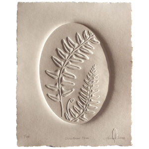 Christmas Fern