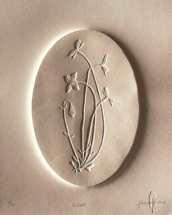 You could buy mom a beautiful bouquet of fresh flowers that might last a week…or you could gift her some that she can enjoy for a lifetime. 💐🤷‍♀️

If you really want to make her smile, you might do both! 

These limited edition blind embossed relief prints are part of The Cameo Series which spotlights the native plants I’ve encountered on local hikes in Western North Carolina. 

Printed from a hand-carved block, the absence of ink enhances the embossed shadows, emphasizing the intricate details of each plant’s form. Much like a cameo role in a film or a piece of cameo jewelry that highlights an individual, each piece in this series focuses on a particular plant that can often be overlooked on the forest floor. 

Available at thewhitecrowe.com