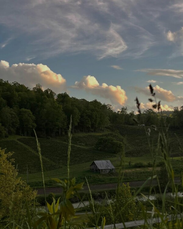 The view from our afternoon at the playground near our house.Always amazed by the beauty the Lord has gifted us. Forever in awe.

Looks like I’m going to have to turn this one into a print soon…